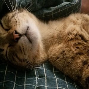 Meet your Posher, Terry